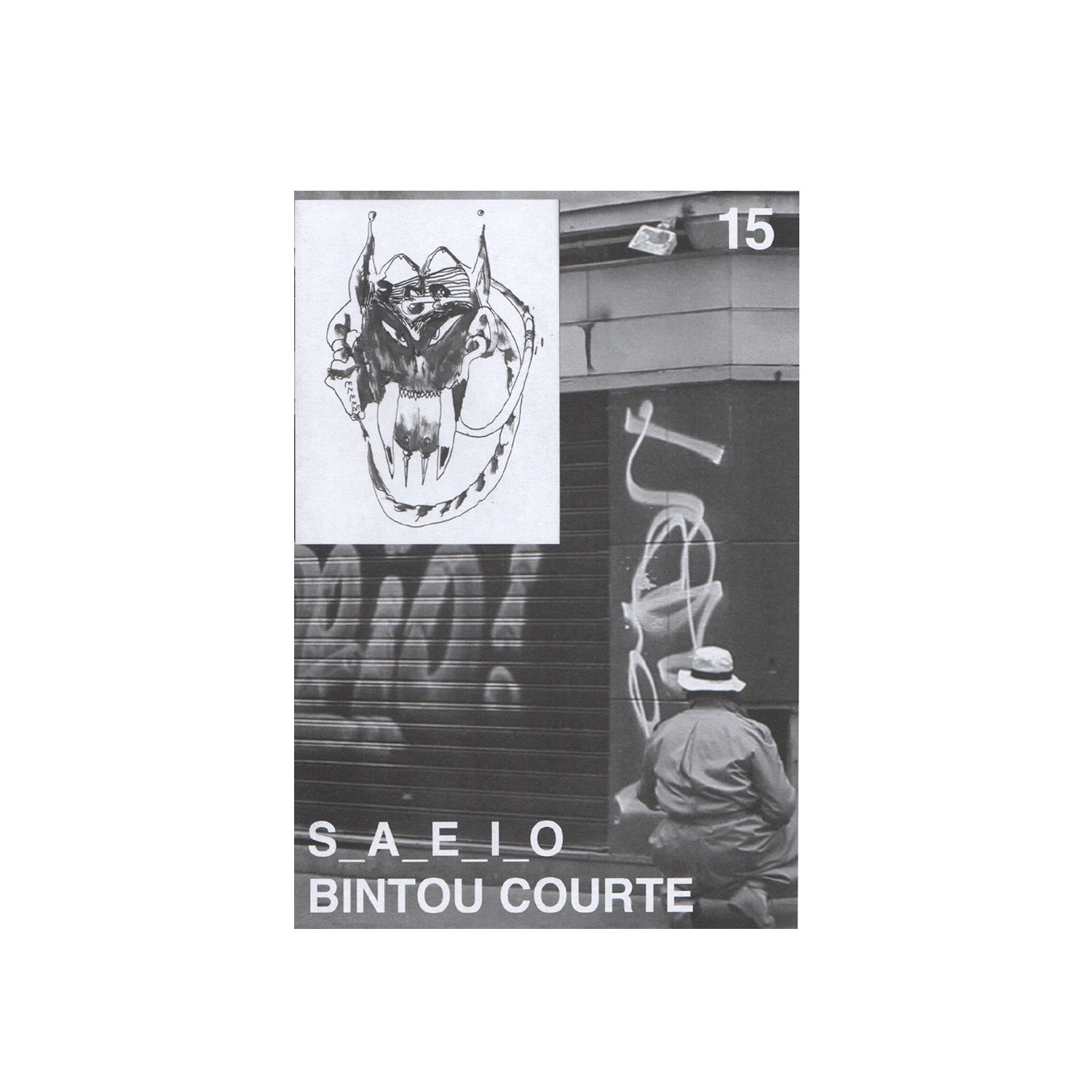 SAEIO product photo