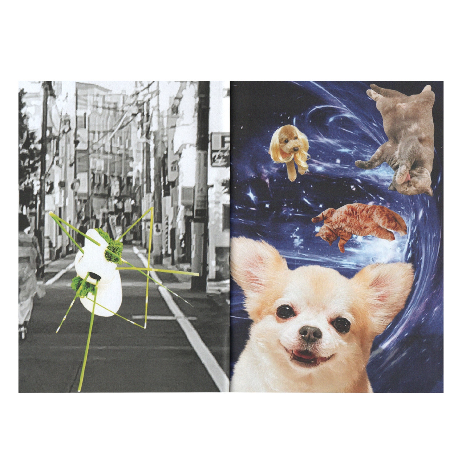 product photo