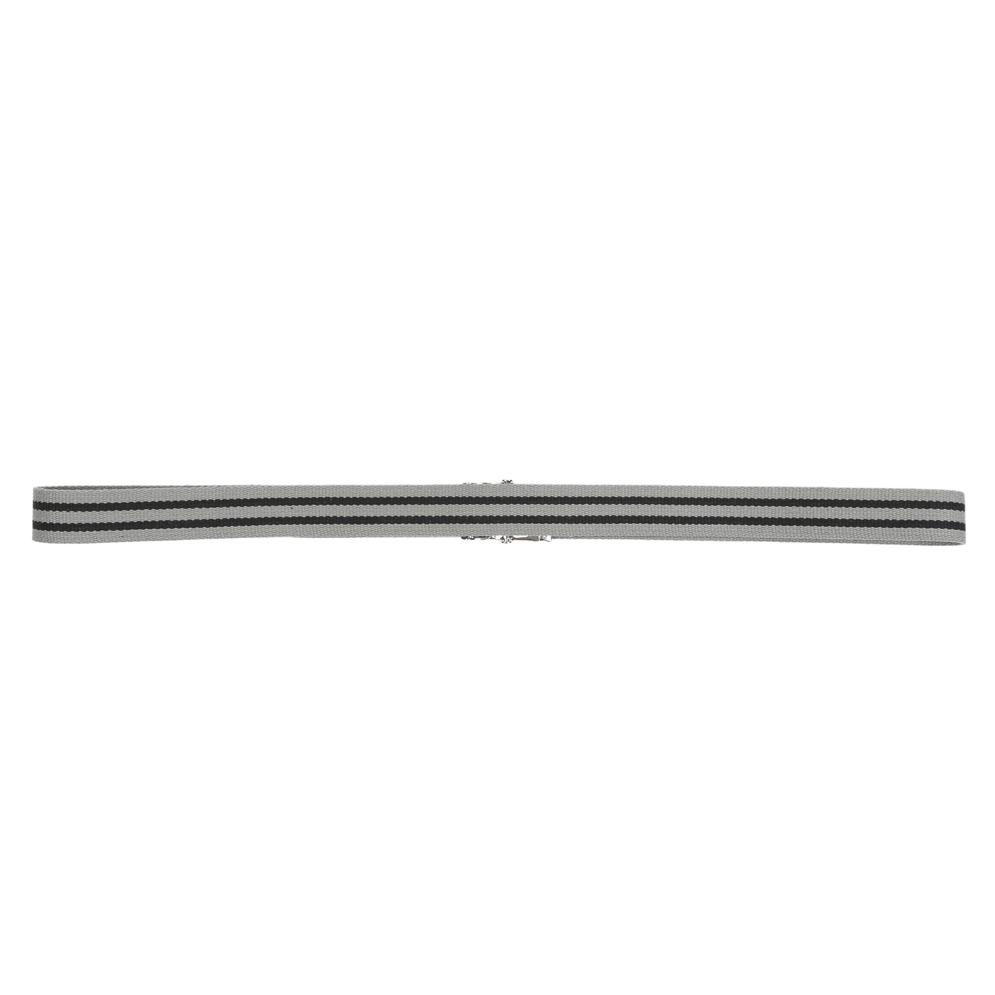 Web Belt - Grey product photo