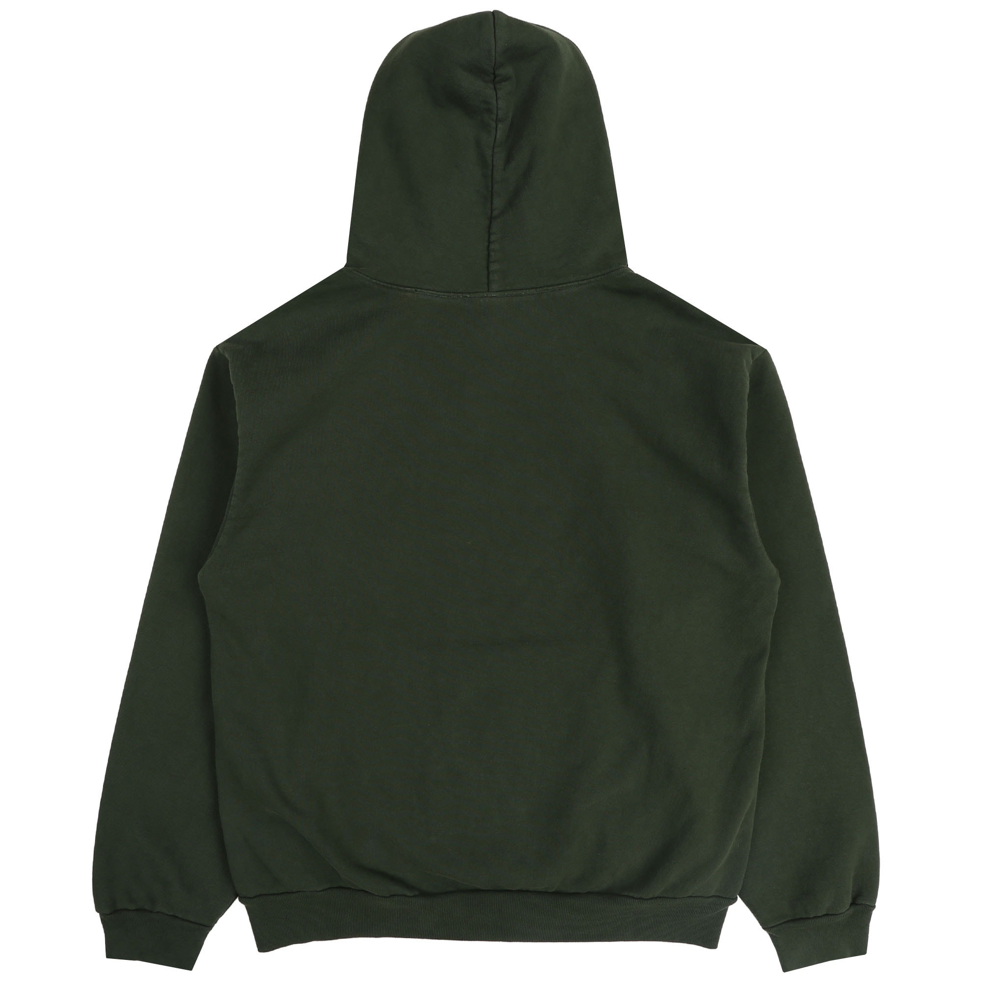 Long Turtle Logo Hoodie - Ivy product photo