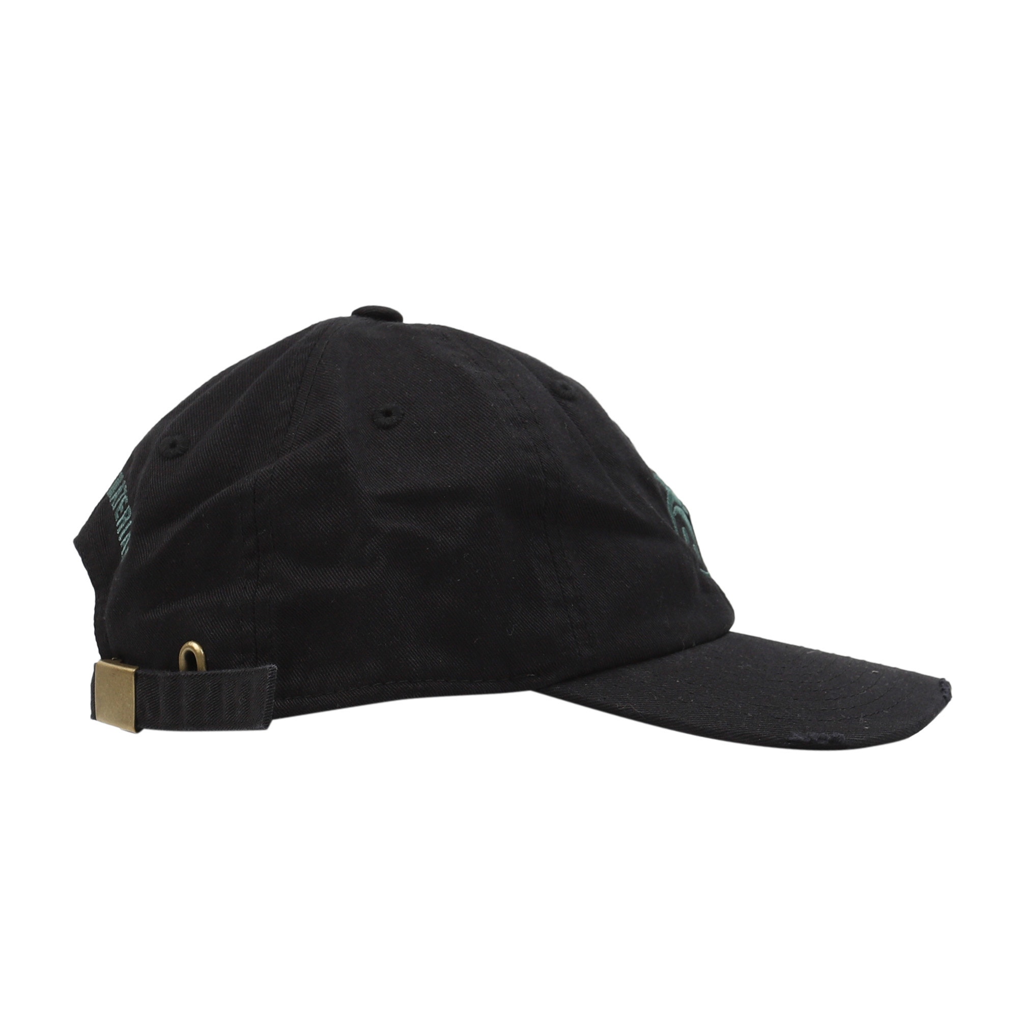 Biohazard Cap - Black product photo