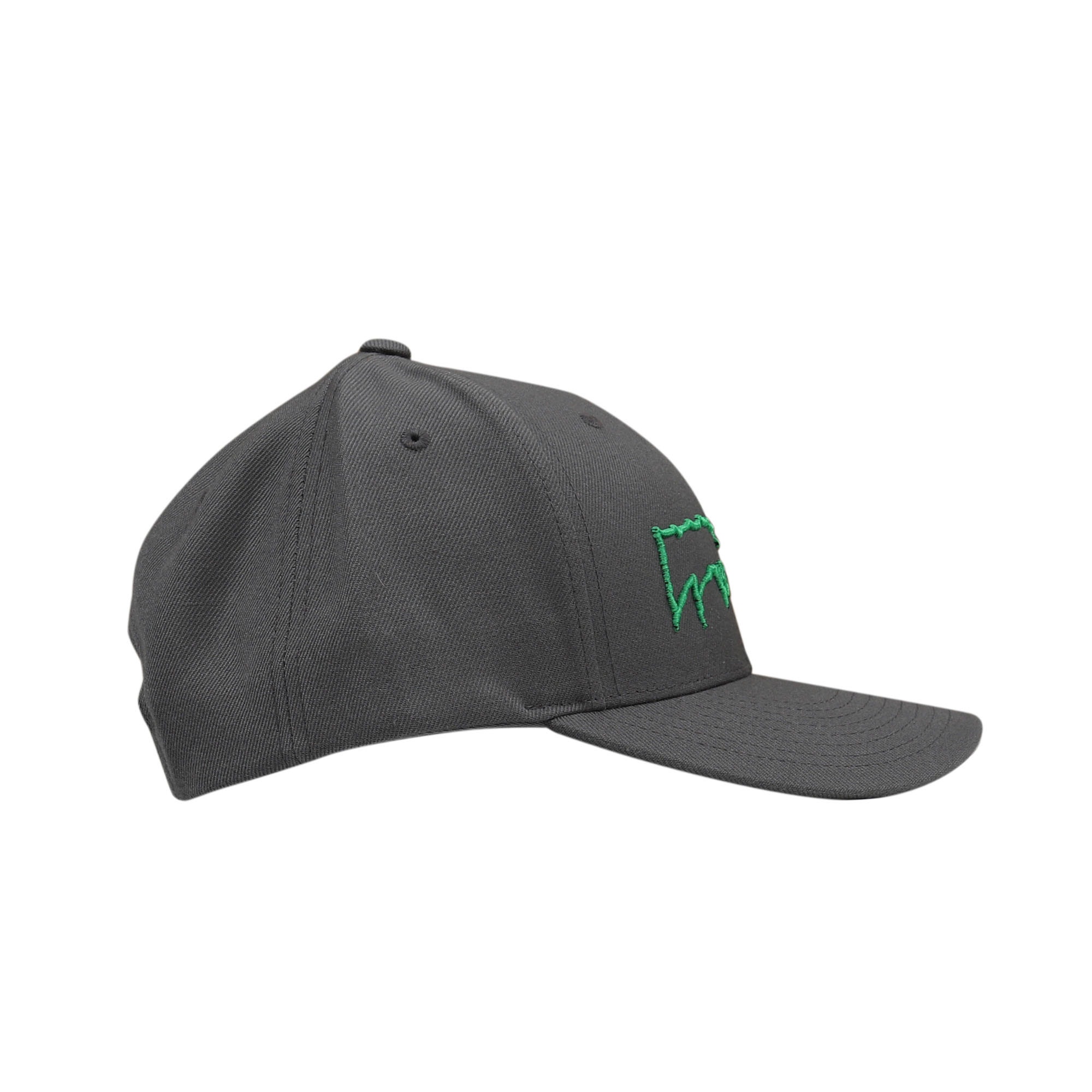 Drip Logo Snapback - Charcoal product photo