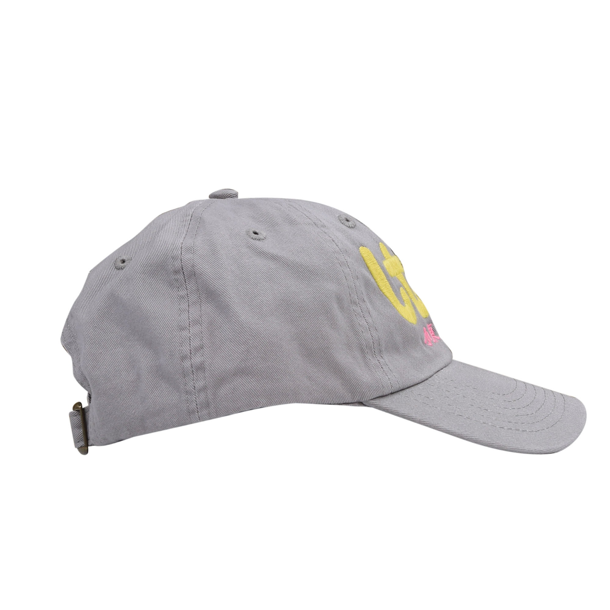 Kiwi Cap - Grey product photo