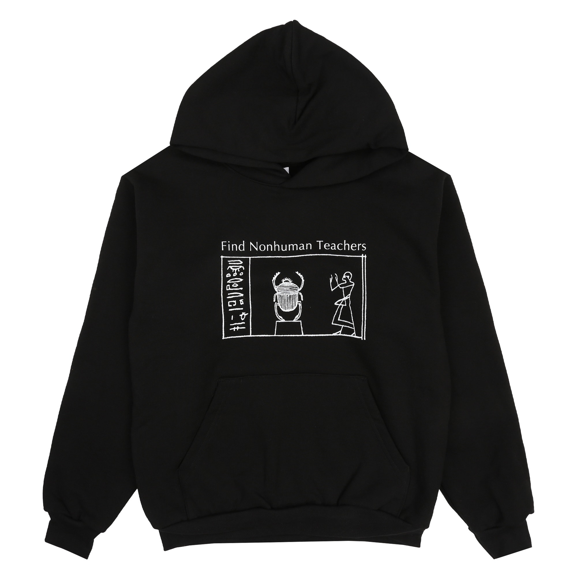 Nonhuman Teachers Hoodie - Washed Black product photo