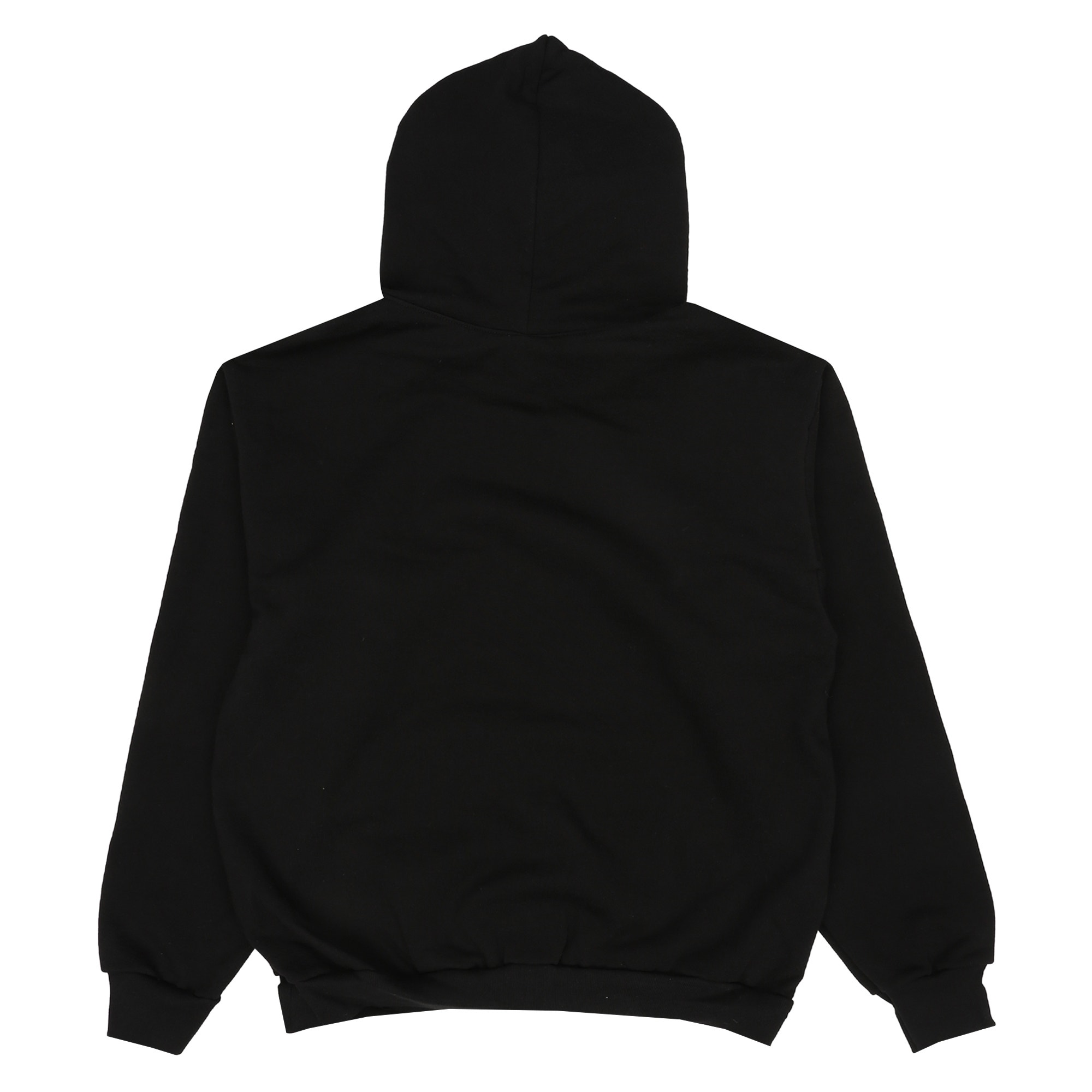 Nonhuman Teachers Hoodie - Washed Black product photo
