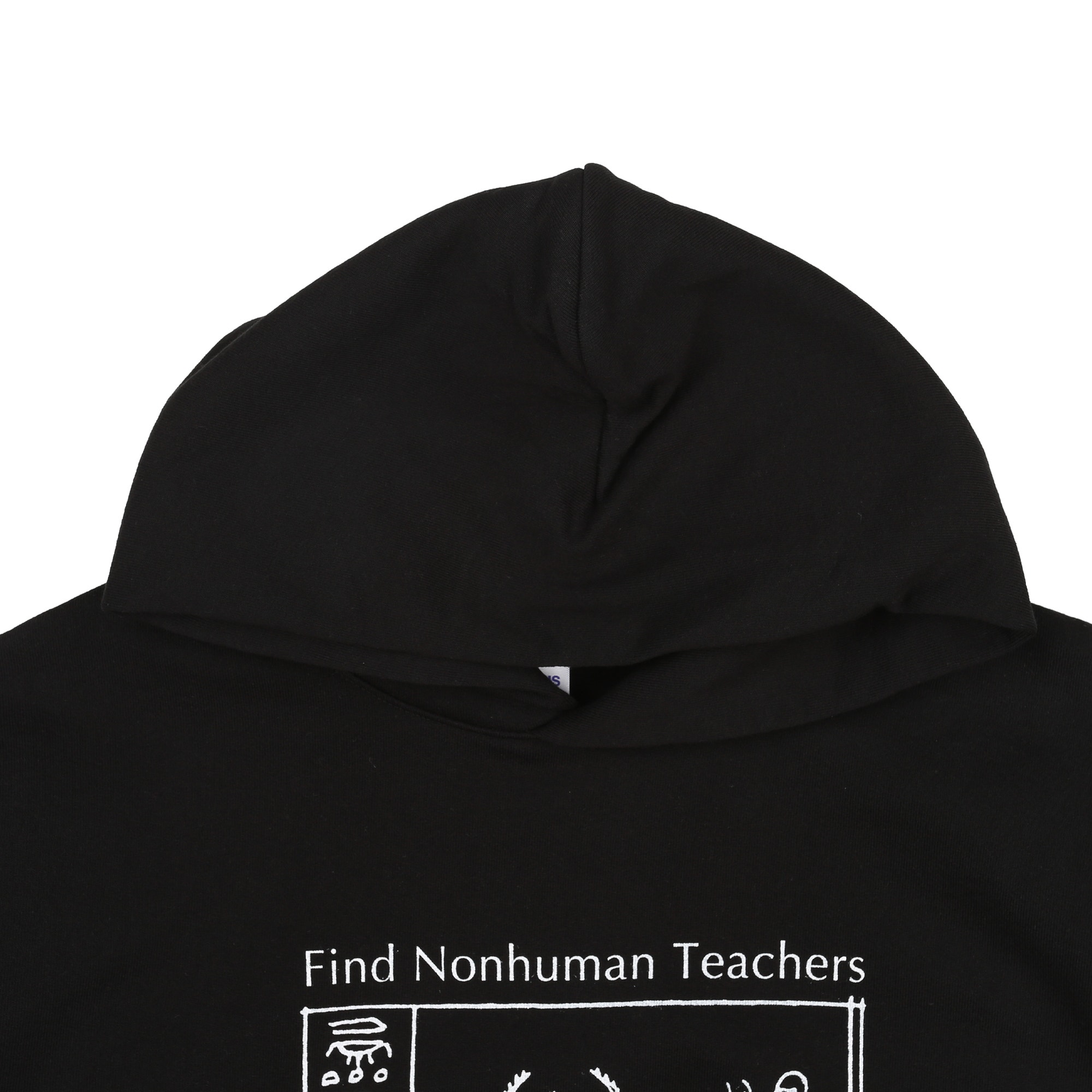 Nonhuman Teachers Hoodie - Washed Black product photo