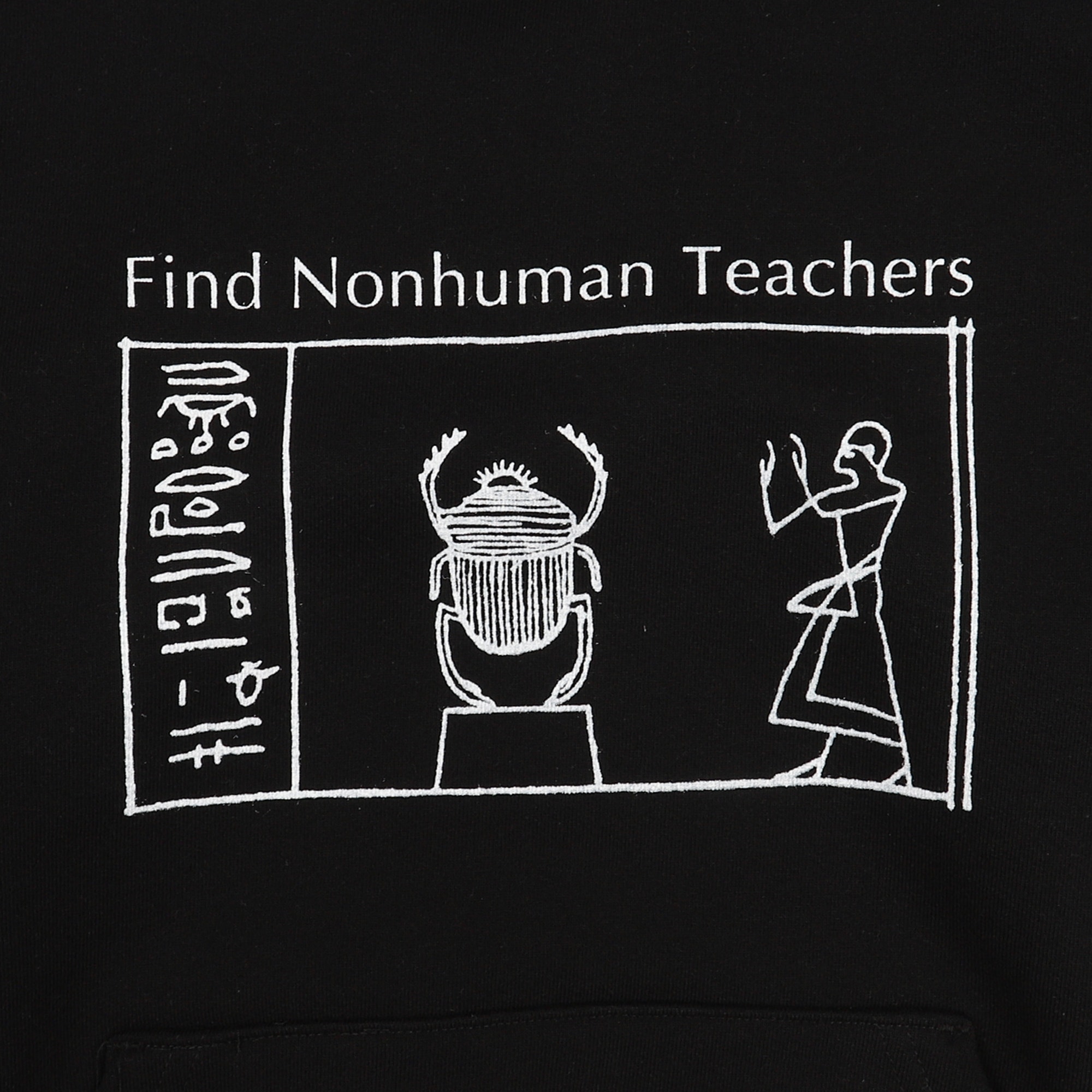 Nonhuman Teachers Hoodie - Washed Black product photo