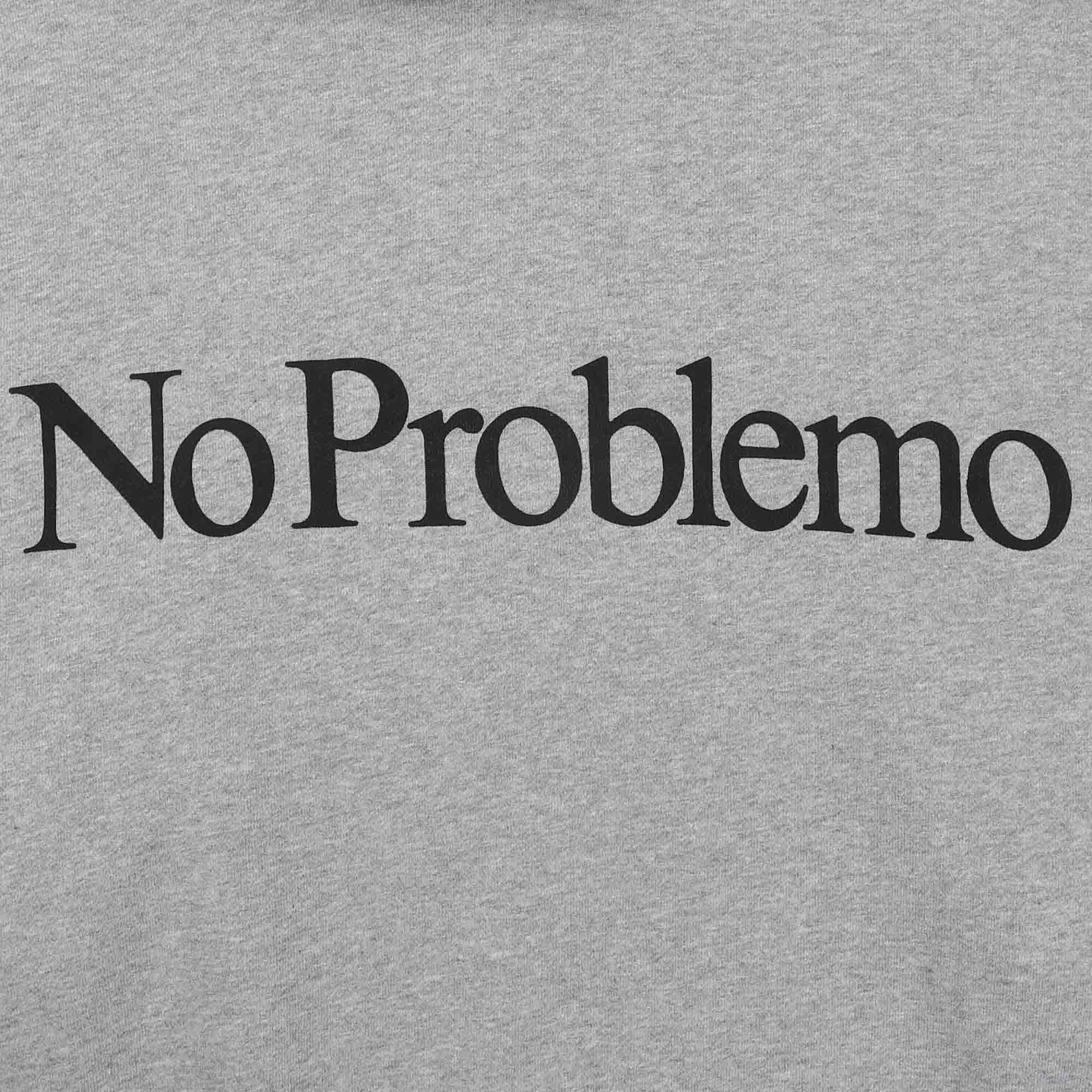 No Problemo Hoodie - Grey Marle product photo