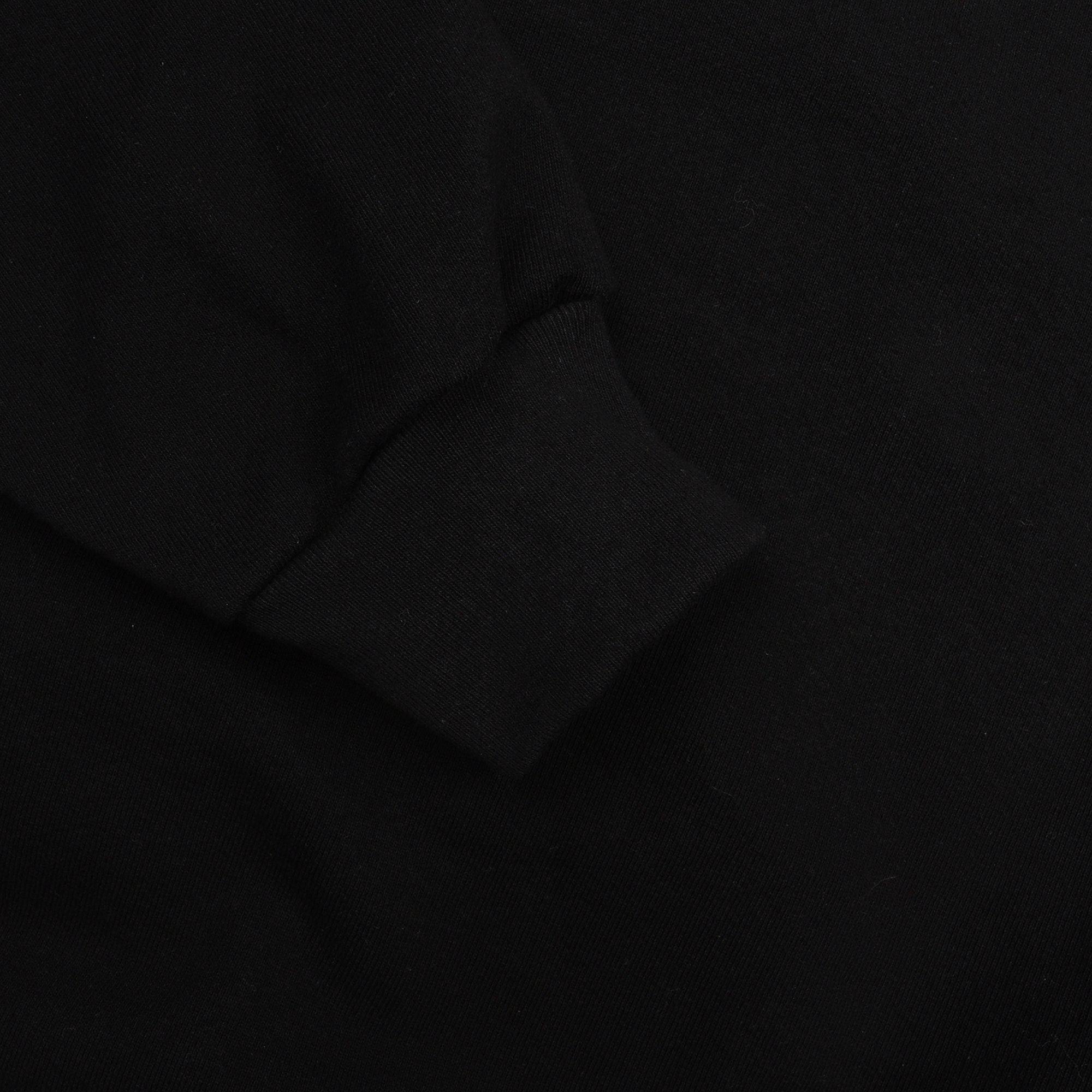Nonhuman Teachers Hoodie - Washed Black product photo