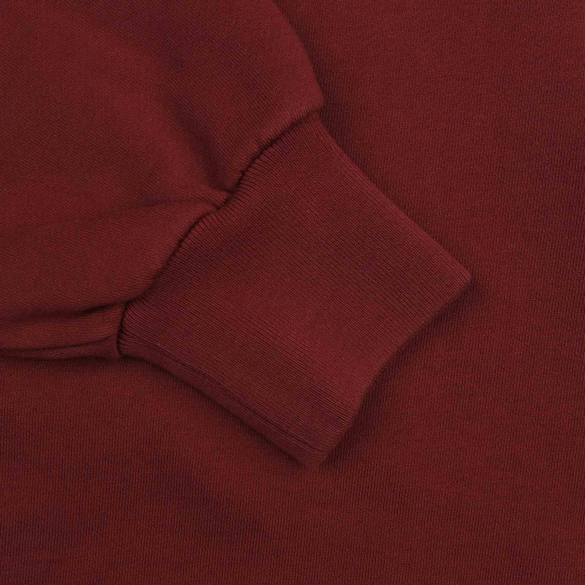 Funghi Problemo Hoodie - Burgundy product photo