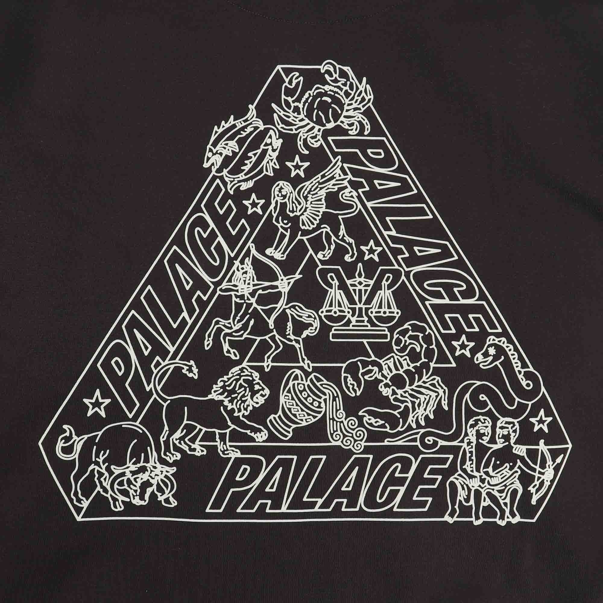 Zodiac Tri Ferg Hood - Black product photo