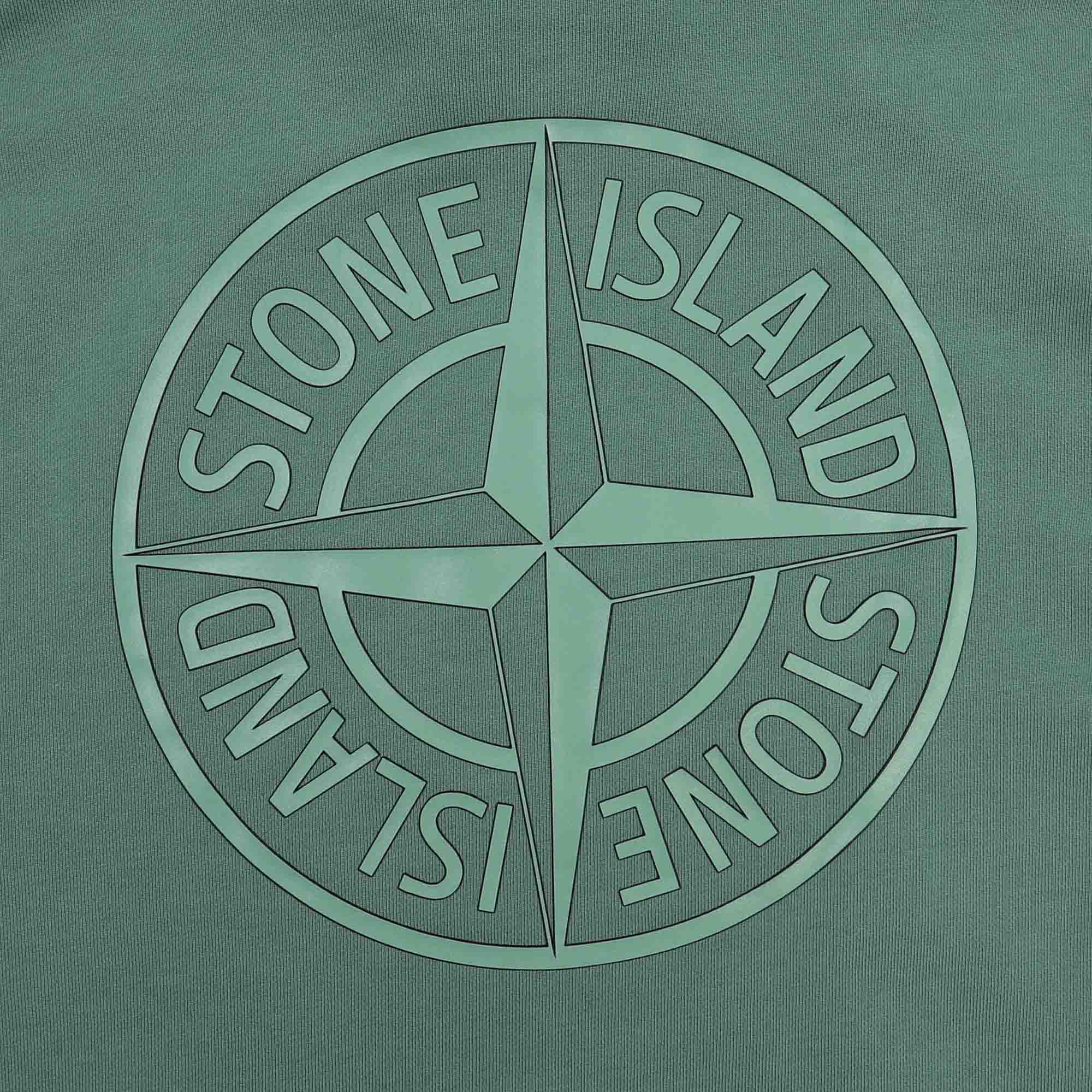 66283 Sweatshirt - Sage product photo