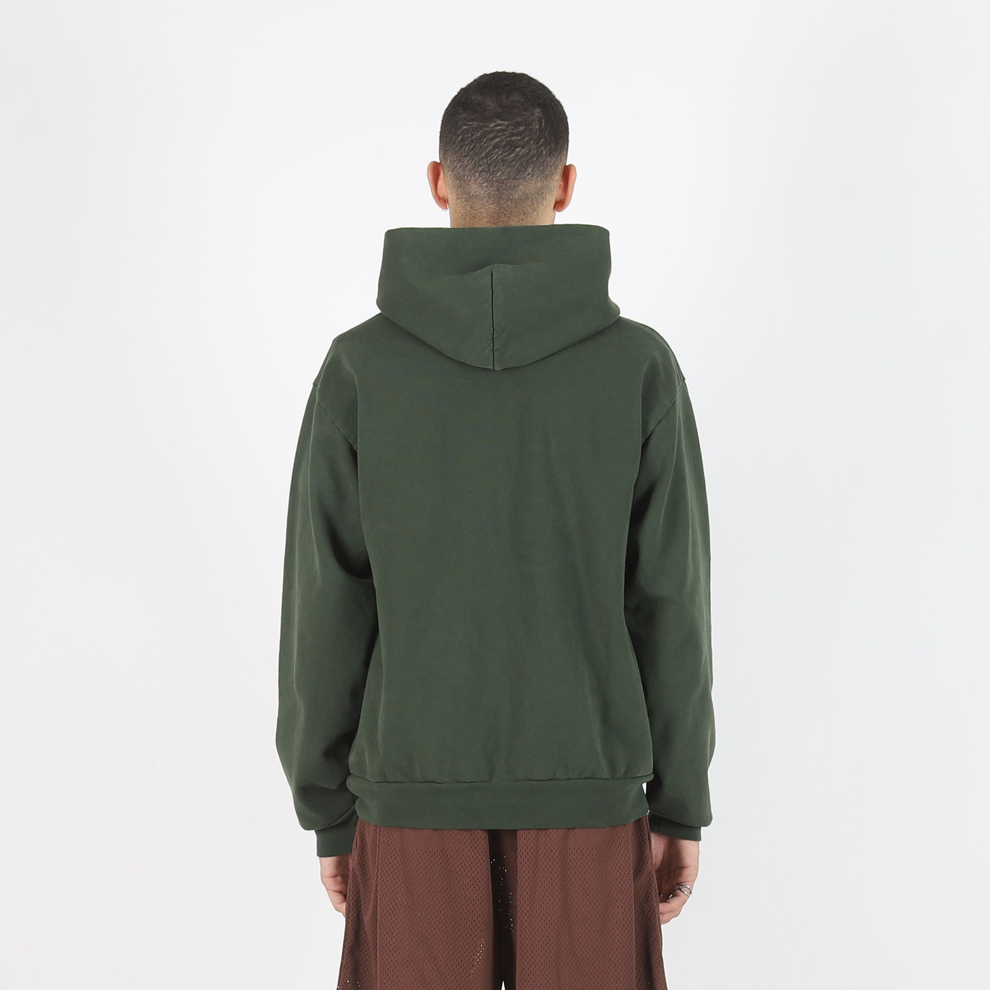 Long Turtle Logo Hoodie - Ivy product photo