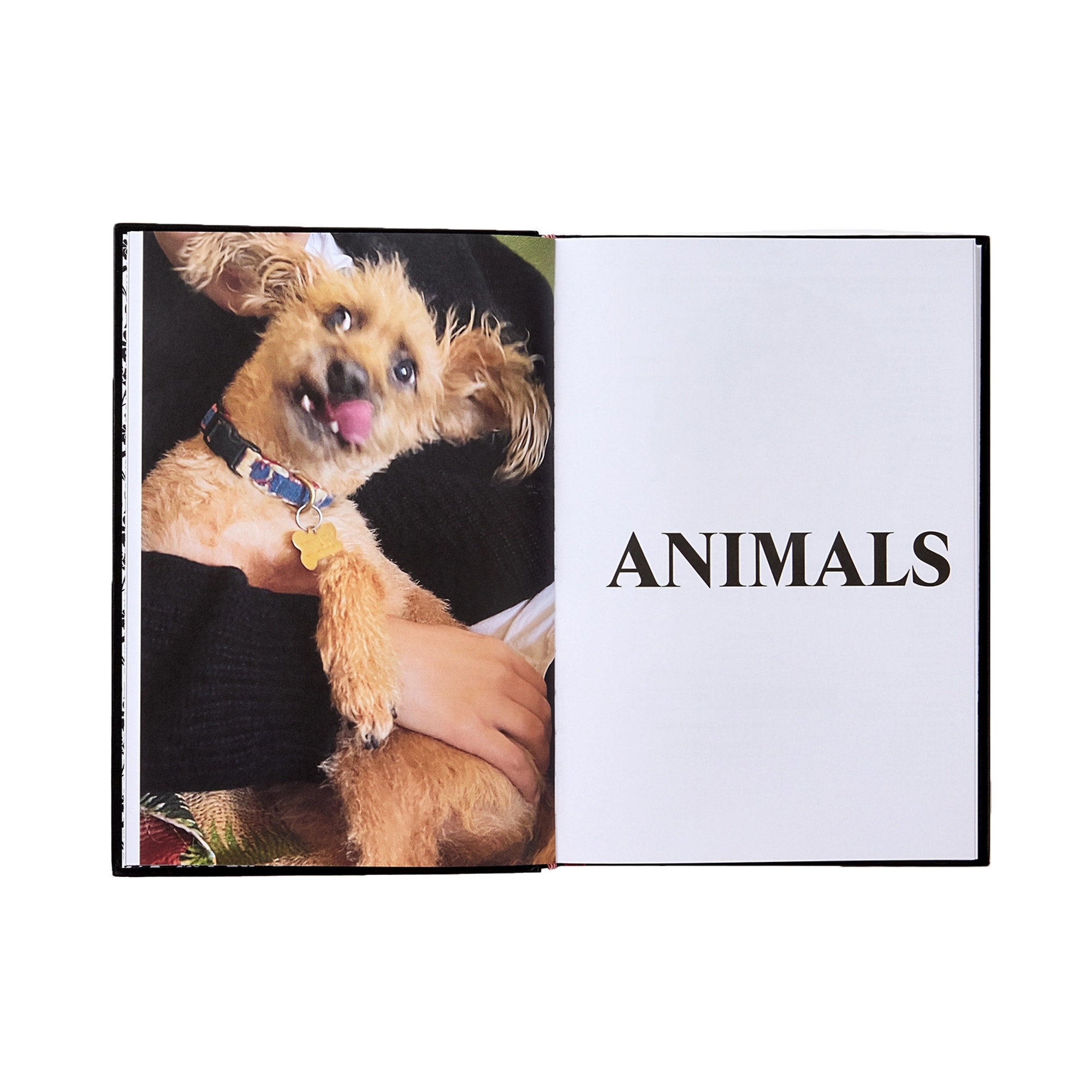 Palace Product Descriptions Book product photo