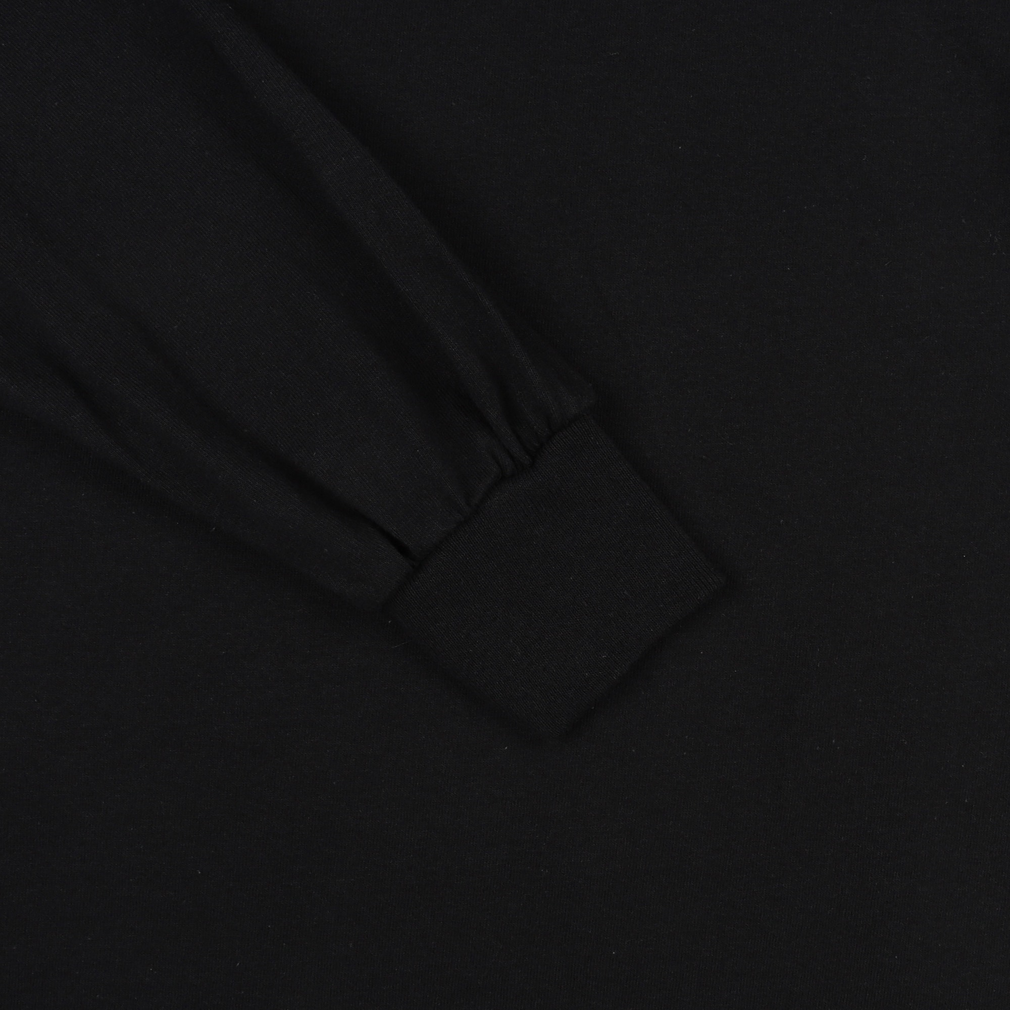 Powers and Abilities L/S T-Shirt- Black product photo