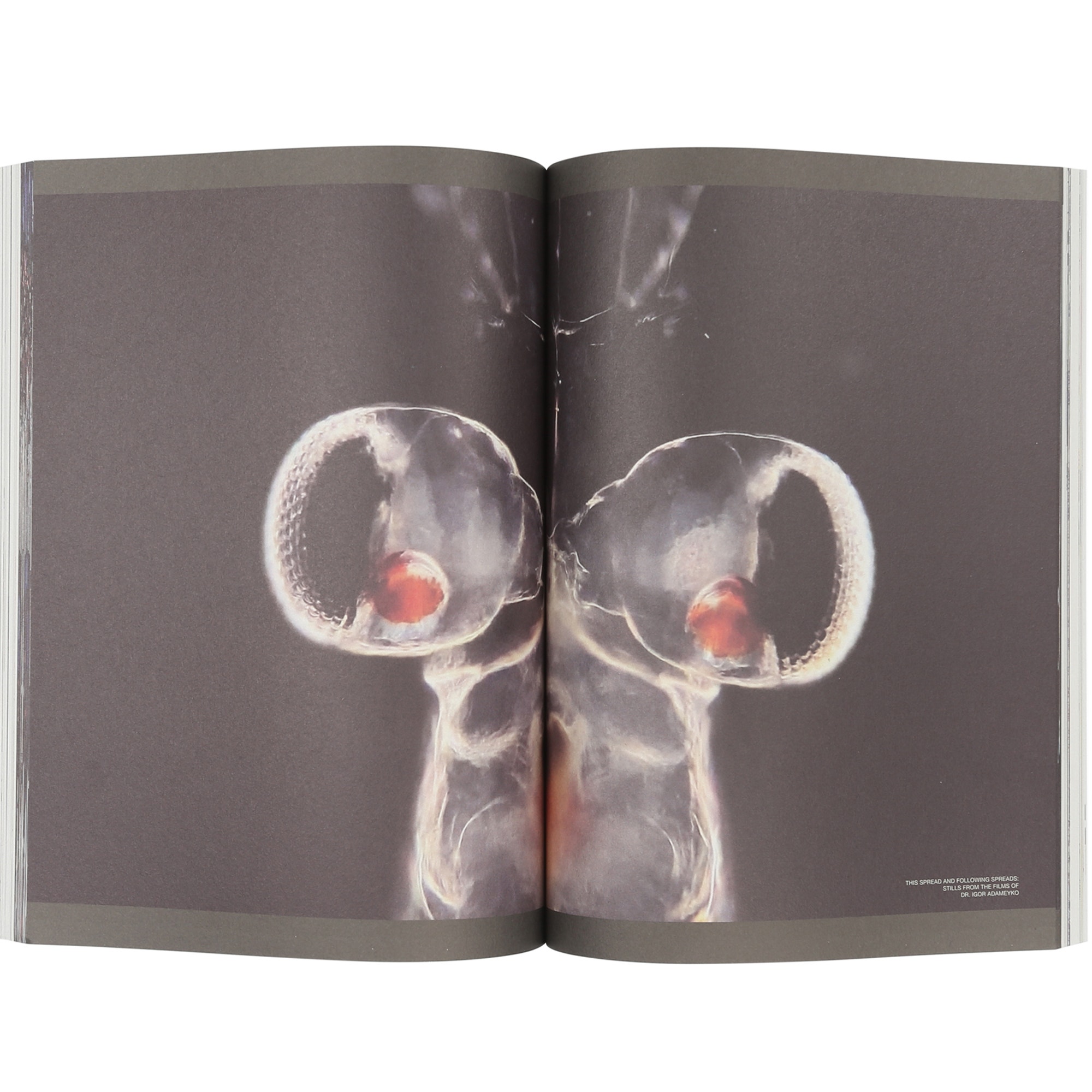 Drain Issue 01 product photo