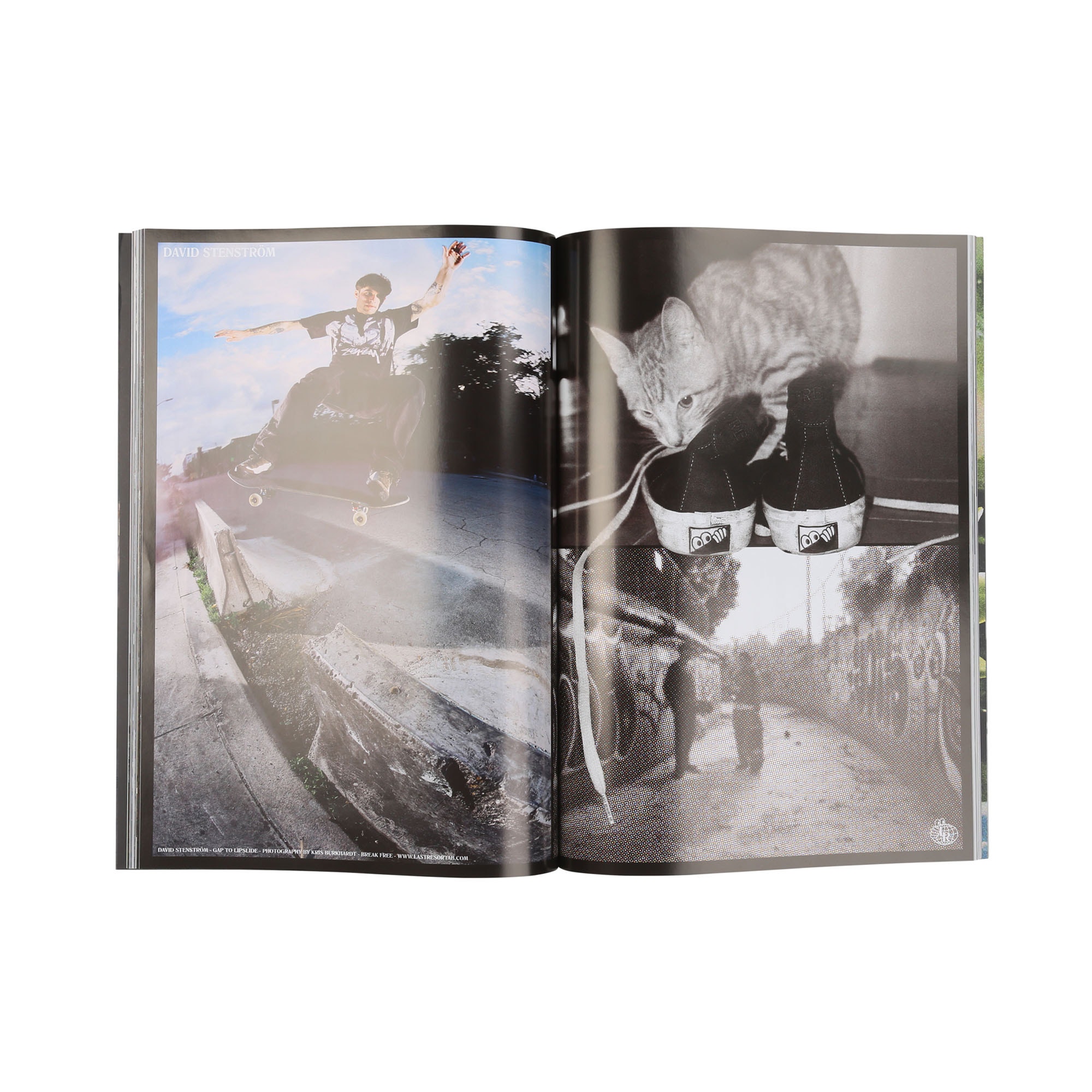 Issue 8 Living Proof Magazine product photo