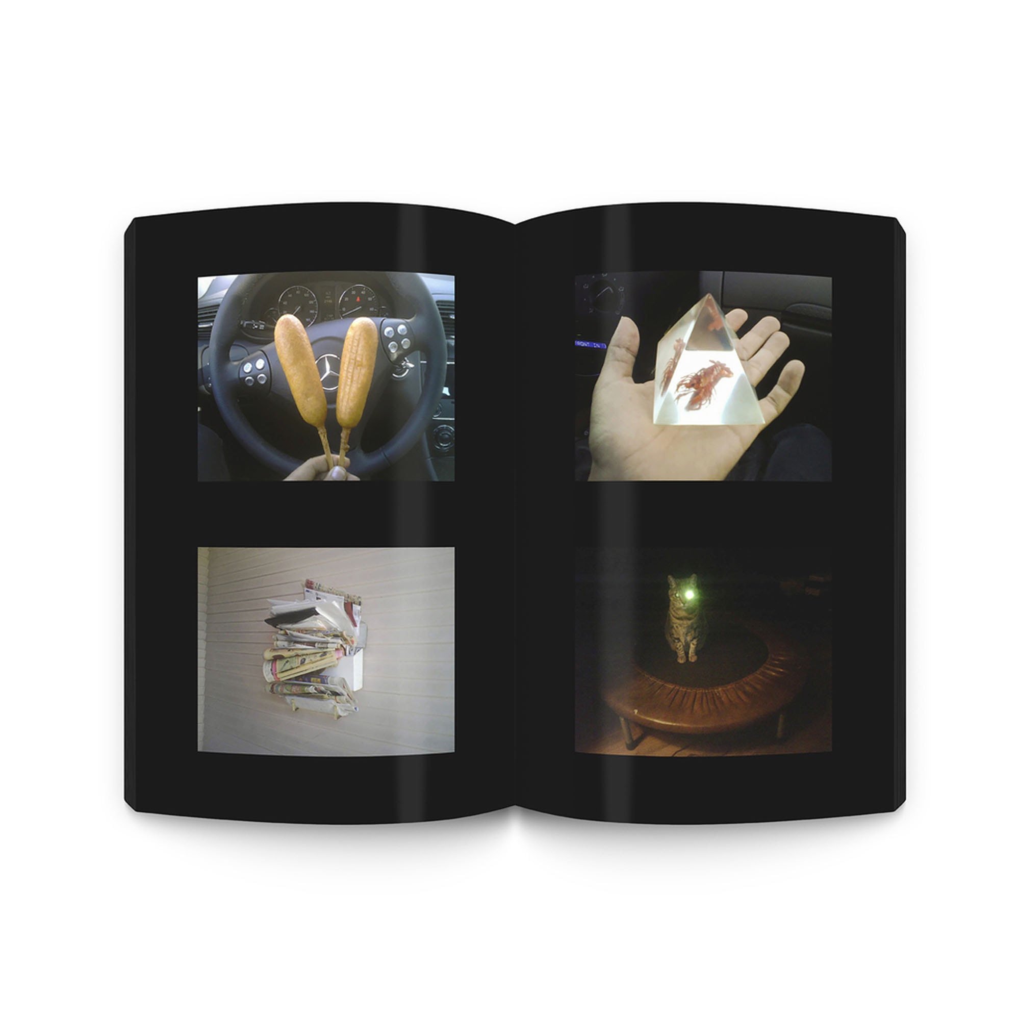 Beautiful Flower is the World Book product photo