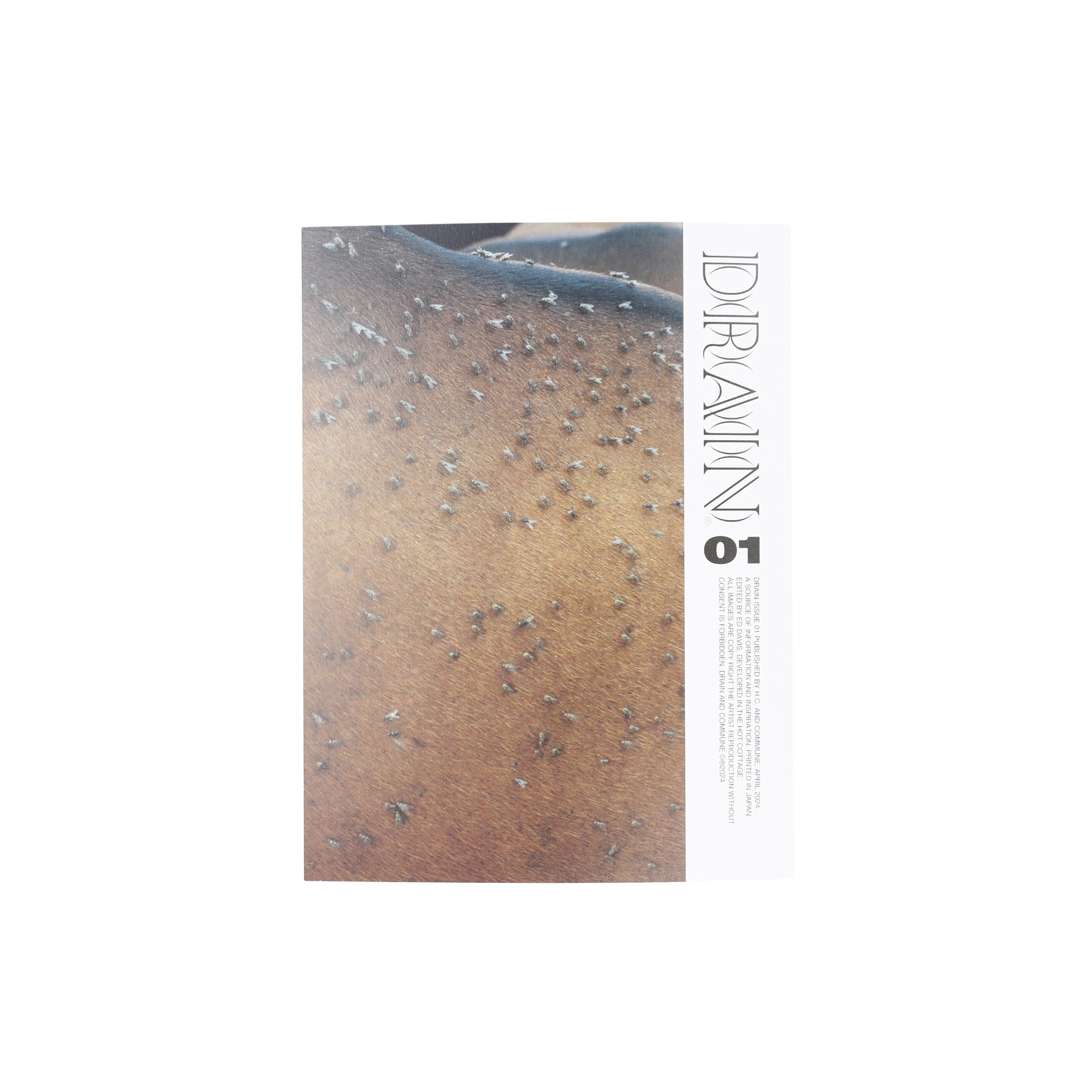 Drain Issue 01 product photo