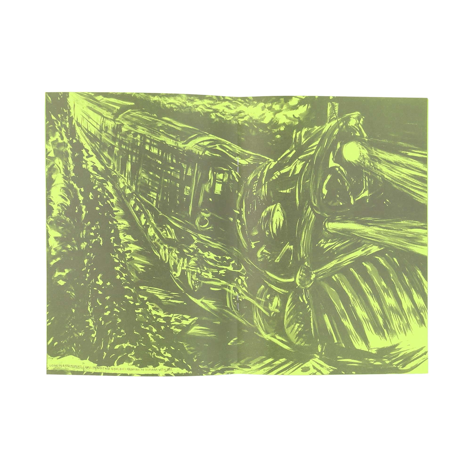 Raymond Pettibon product photo