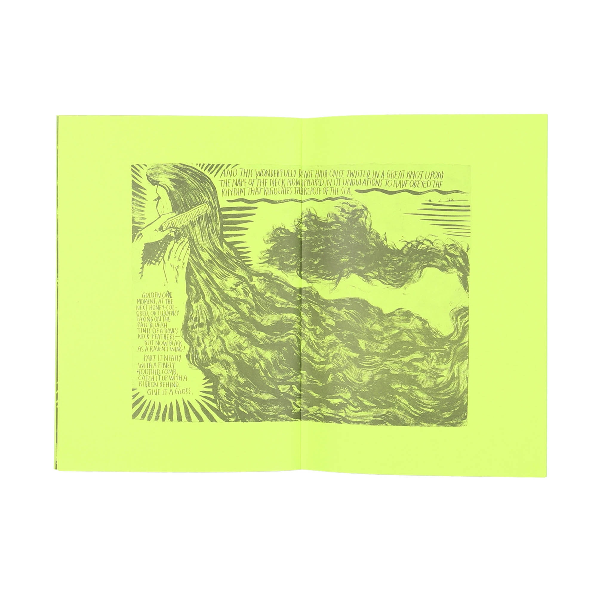 Raymond Pettibon product photo