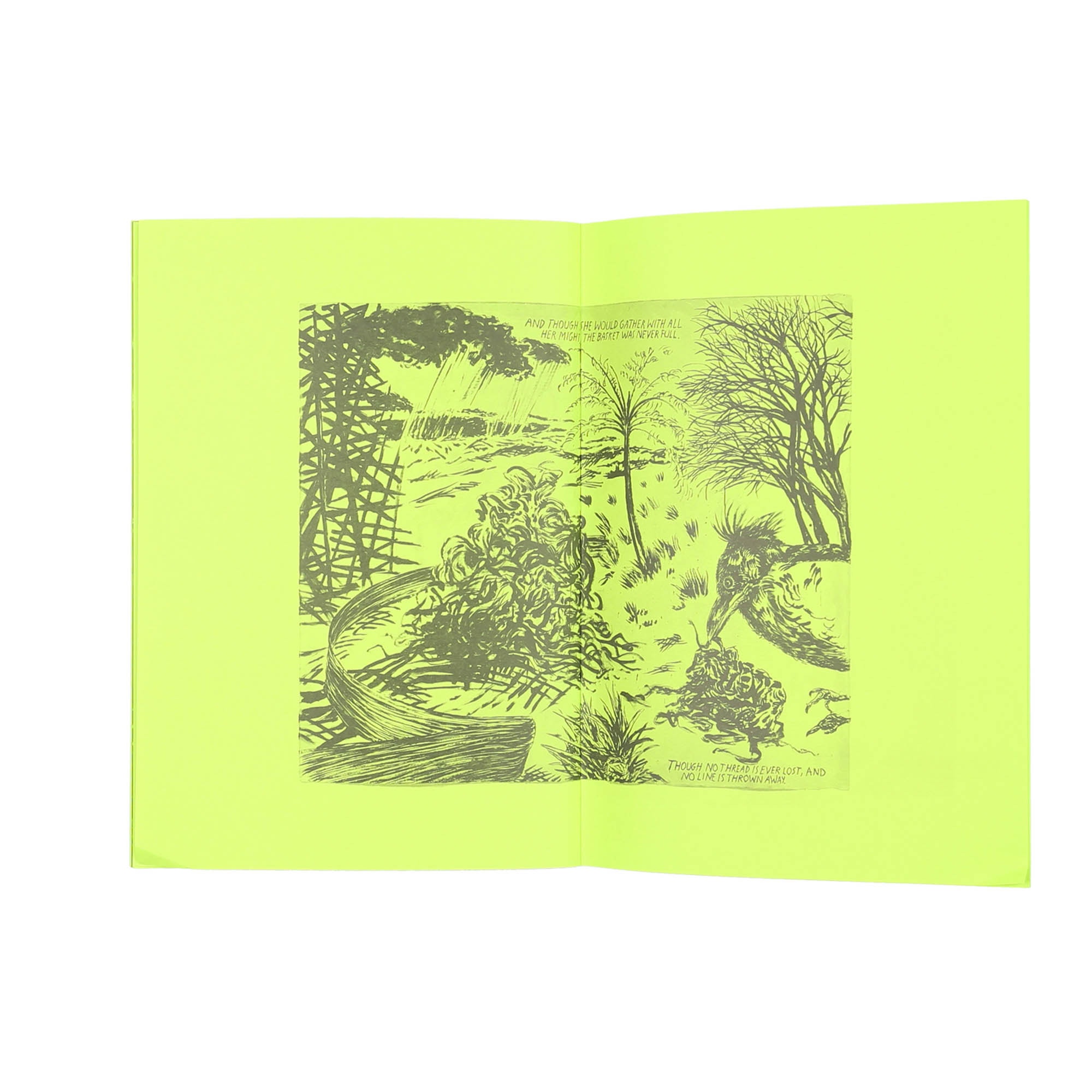 Raymond Pettibon product photo
