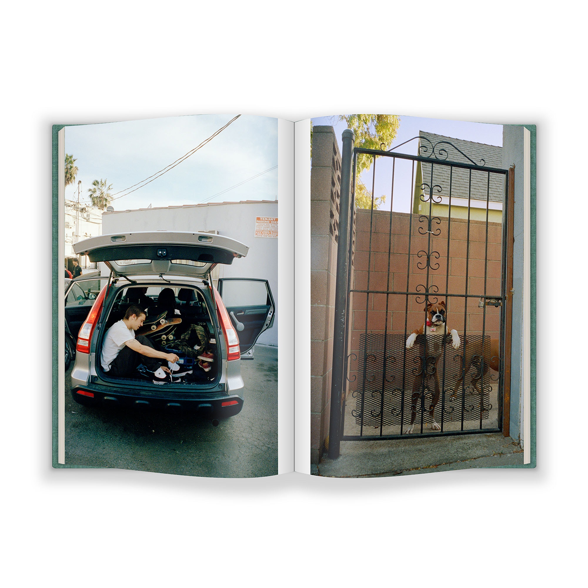 Tino Razo: Party in the Back Book product photo