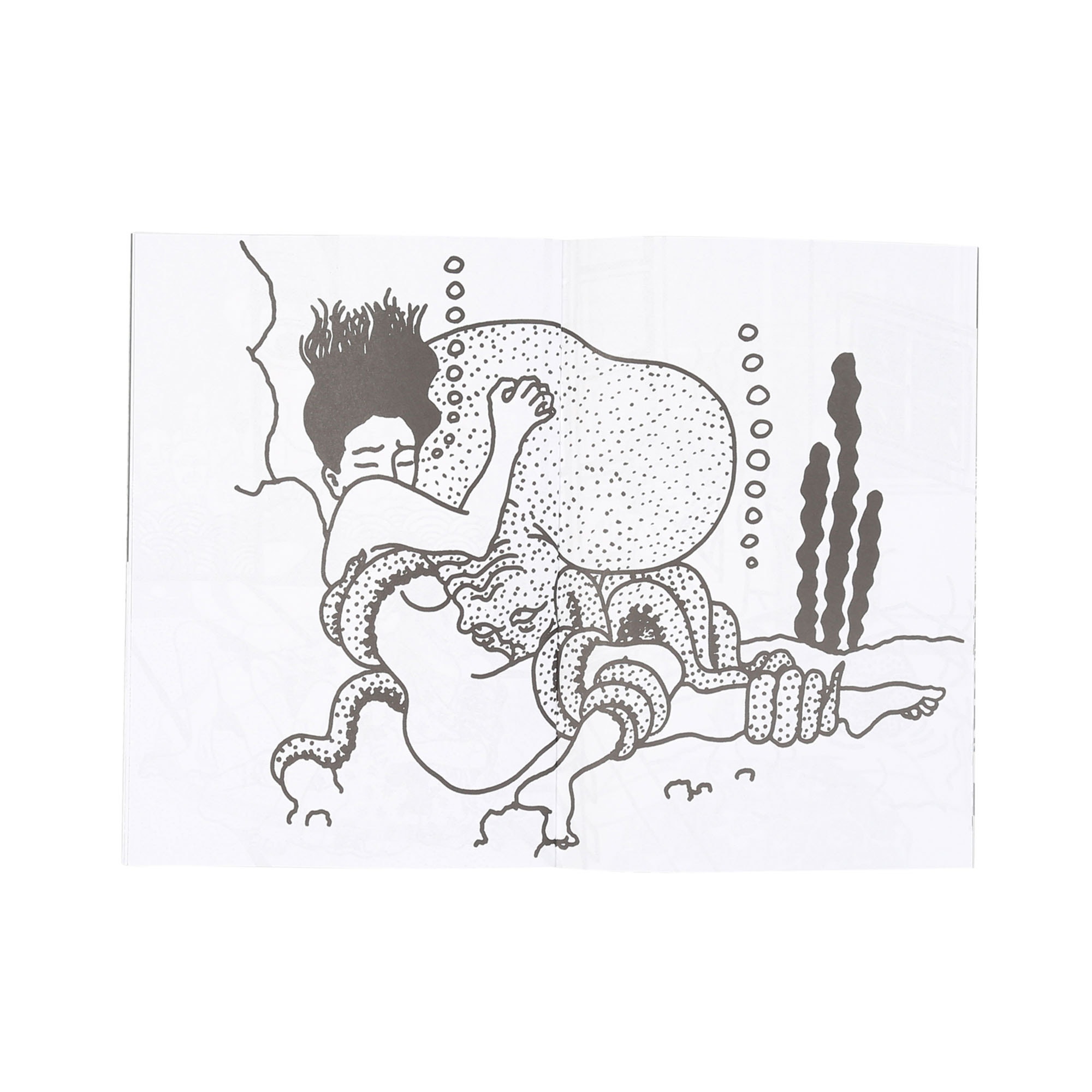Toshio Saeki product photo