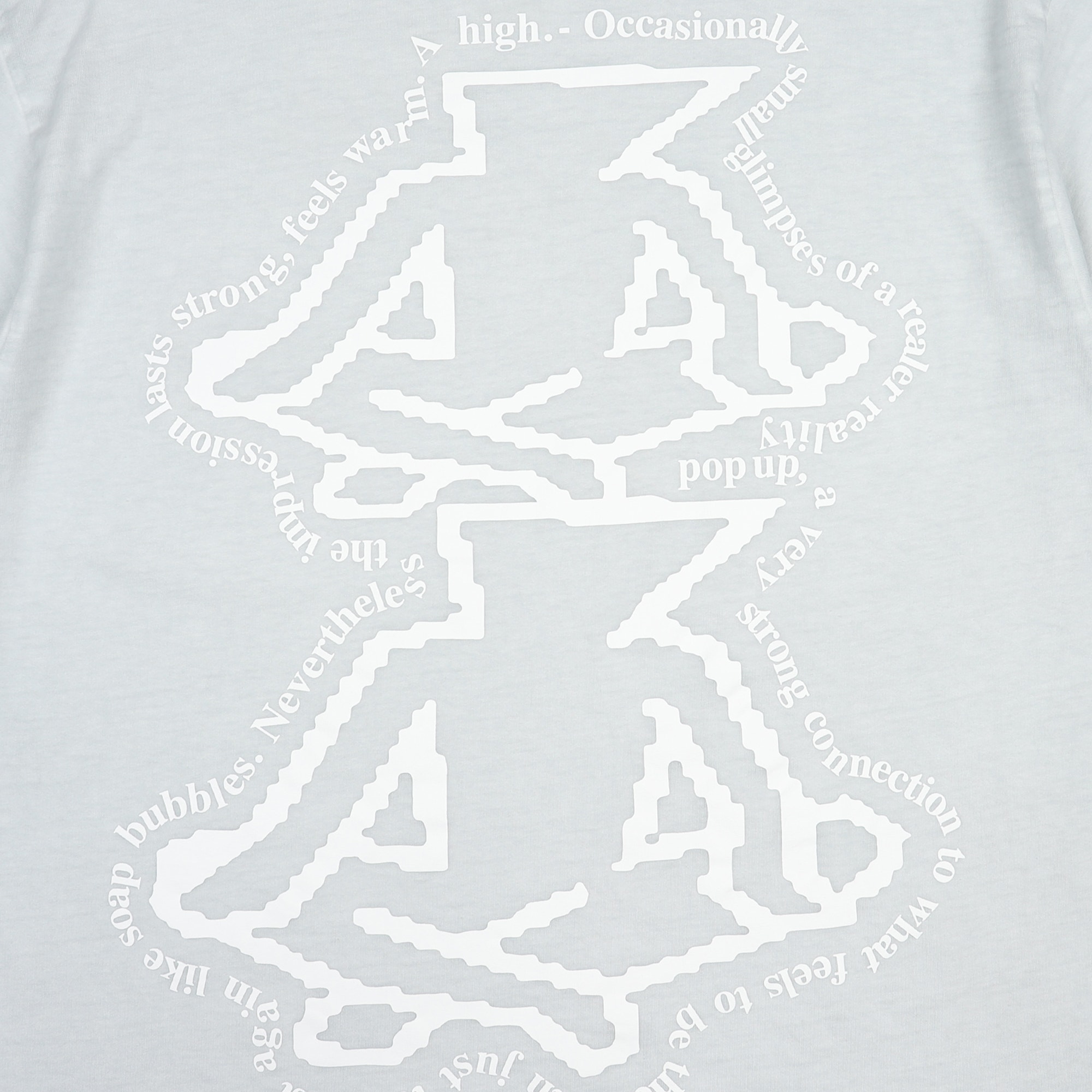 High T-Shirt - Washed Black product photo