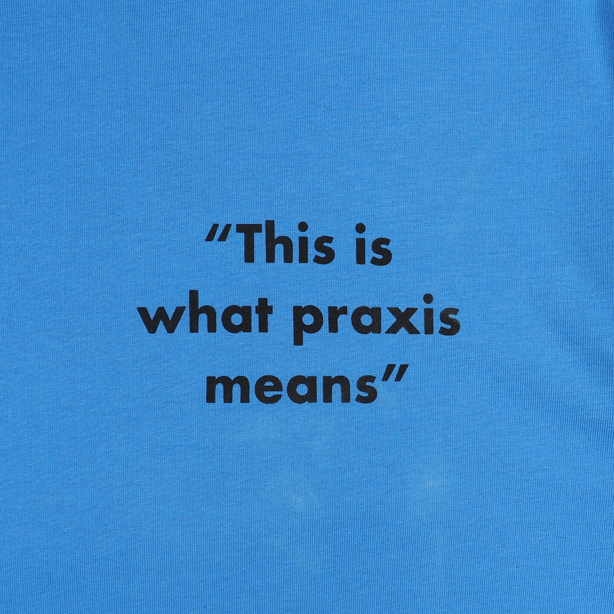 Praxis/Theorie T-Shirt - Cute Blue product photo