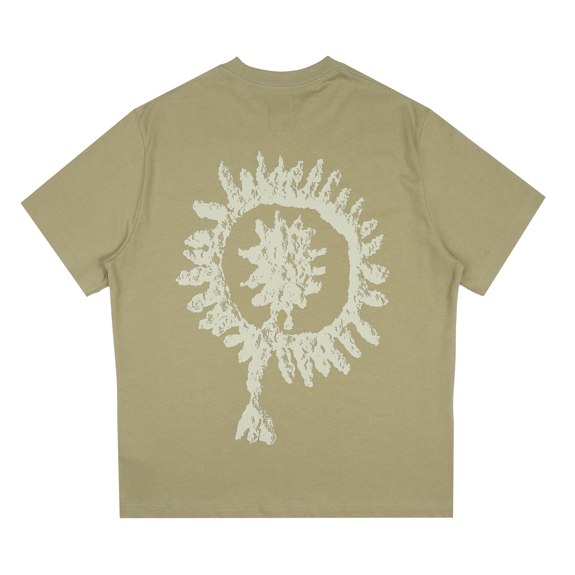 S/S Graphic T-Shirt - Aloe product photo