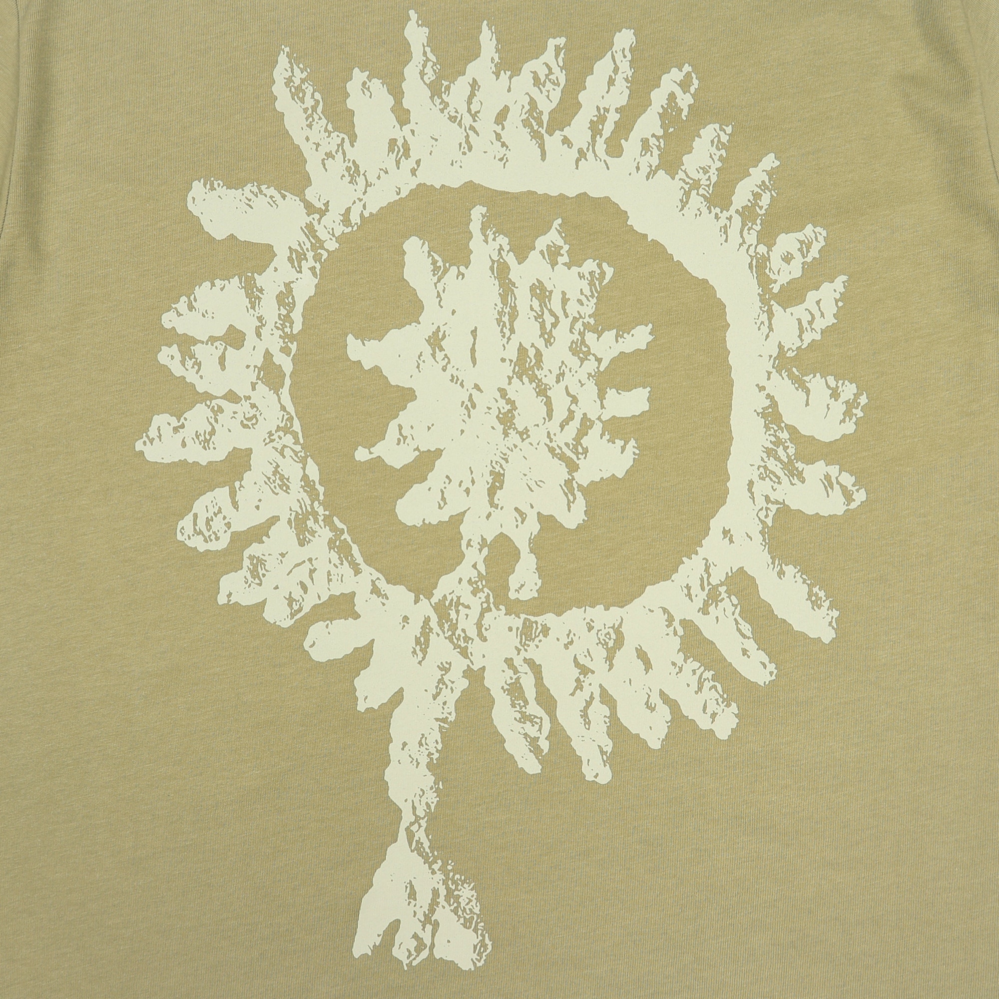 S/S Graphic T-Shirt - Aloe product photo