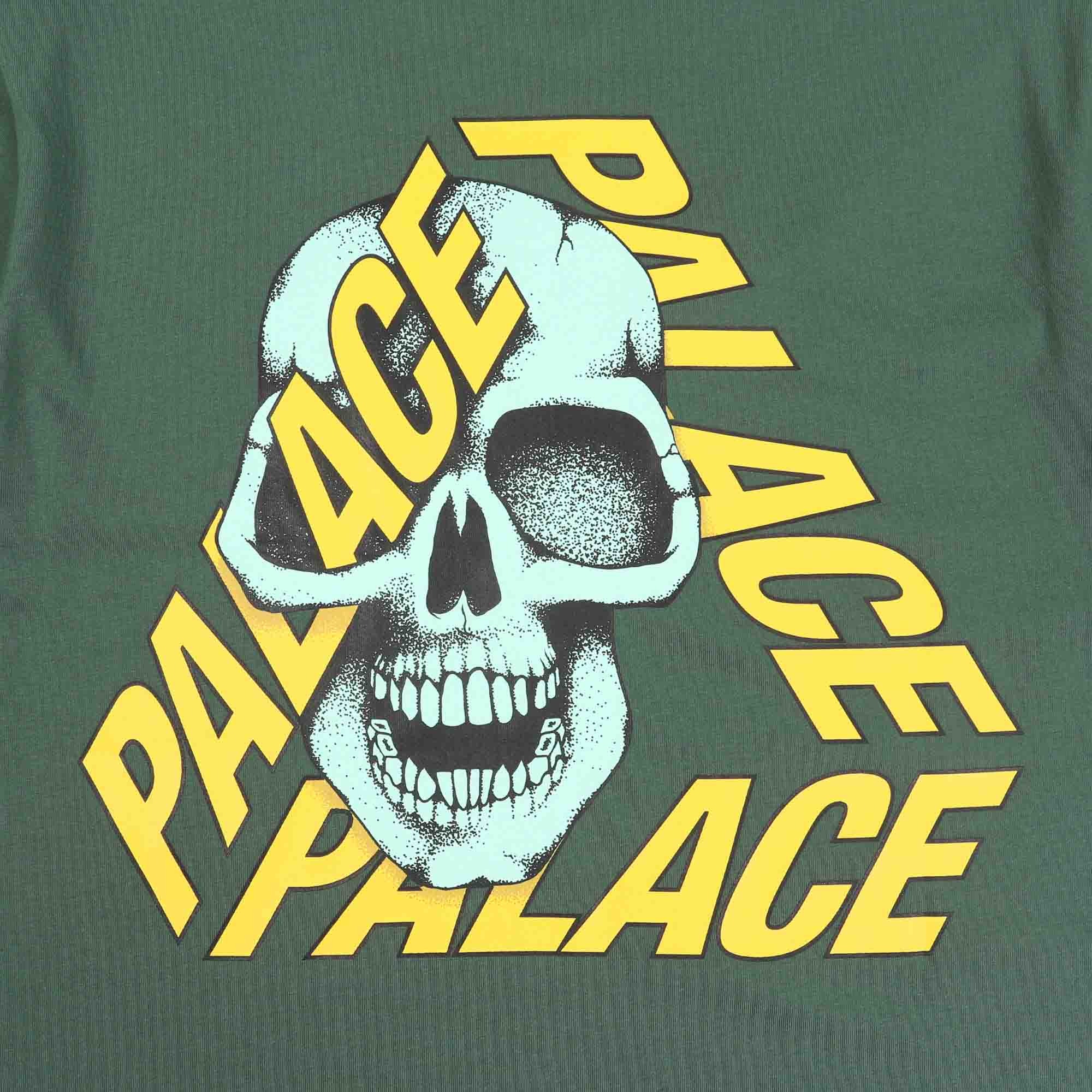 P3 Skull T-Shirt - Racey Green product photo