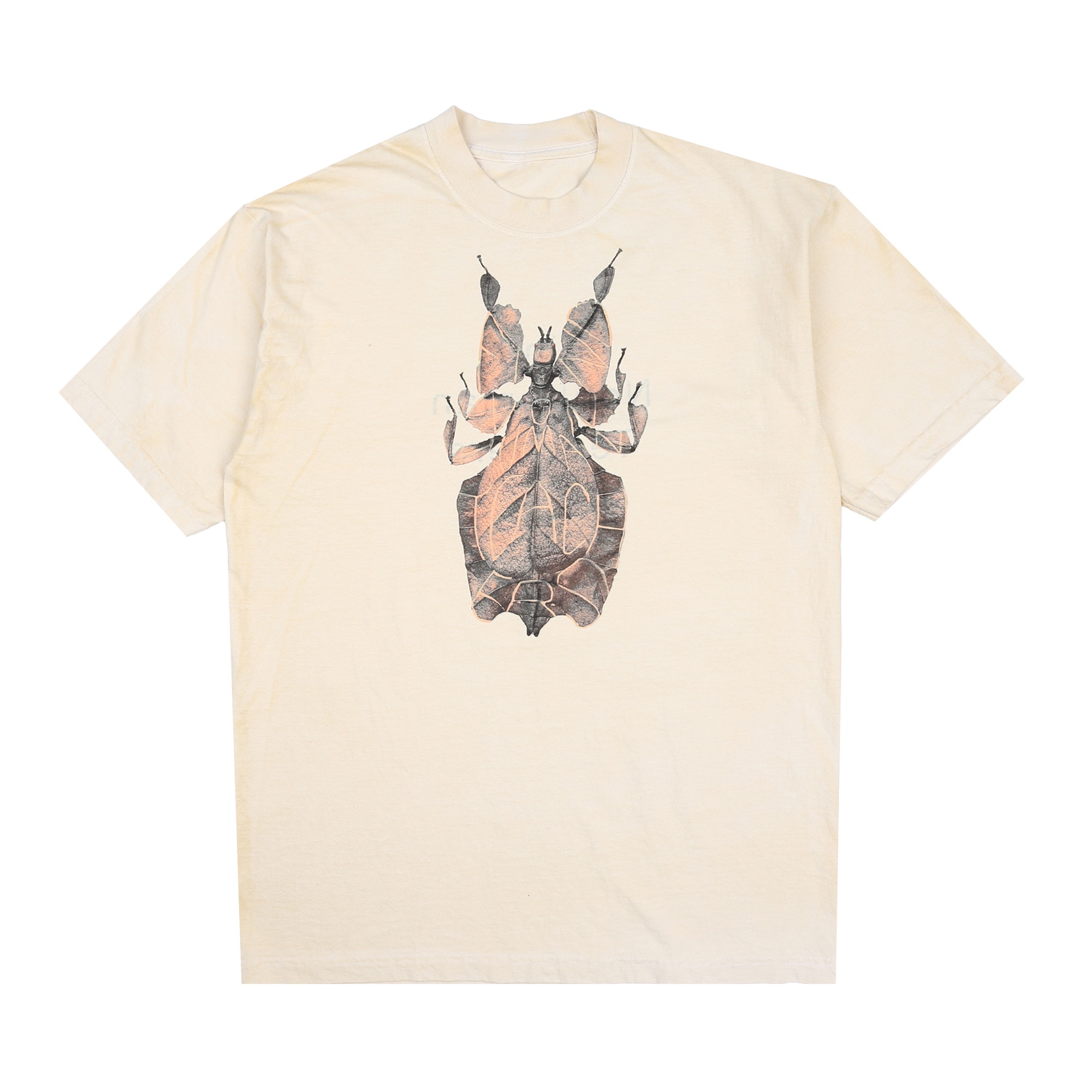 Find Nonhuman Teachers 4 T-Shirt - White product photo