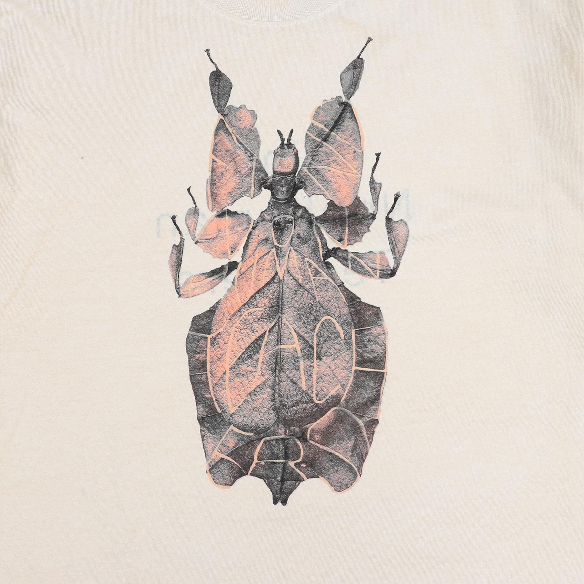 Find Nonhuman Teachers 4 T-Shirt - White product photo