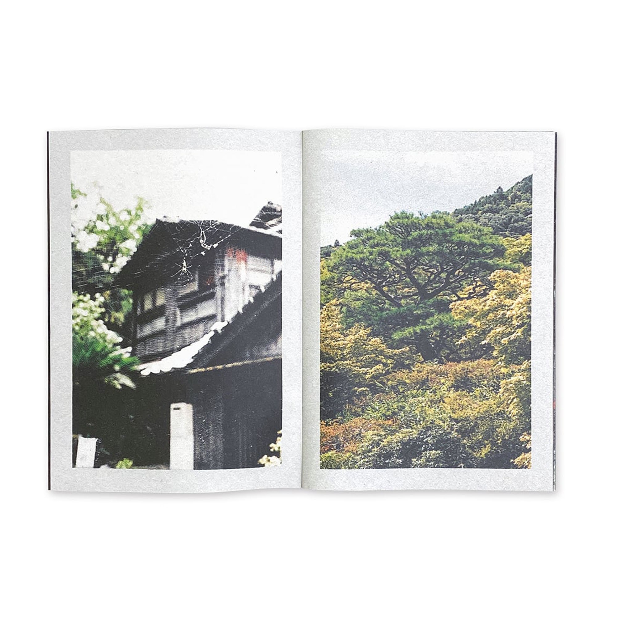 Oishi - Colin Sussignham product photo